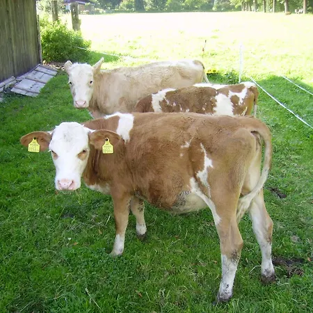 Binderhof Гостевой дом 3*